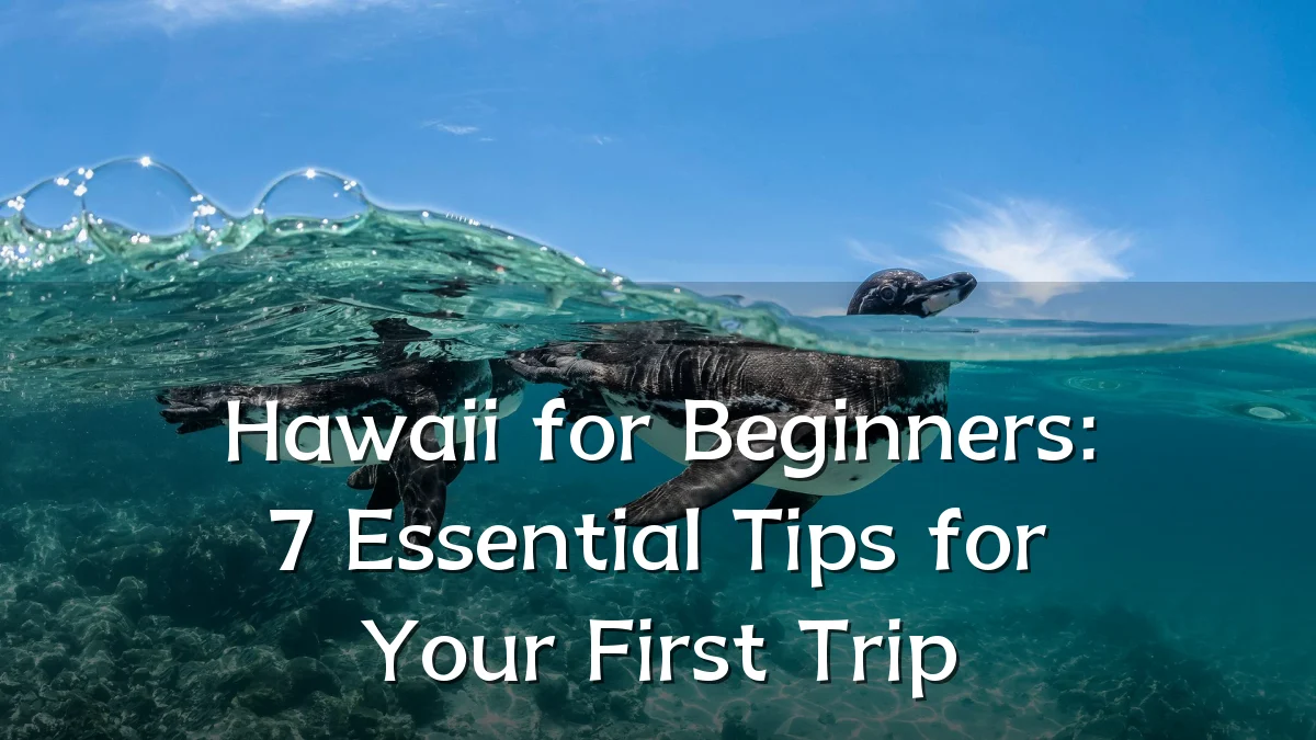 Hawaii for Beginners: 7 Essential Tips for Your First Trip