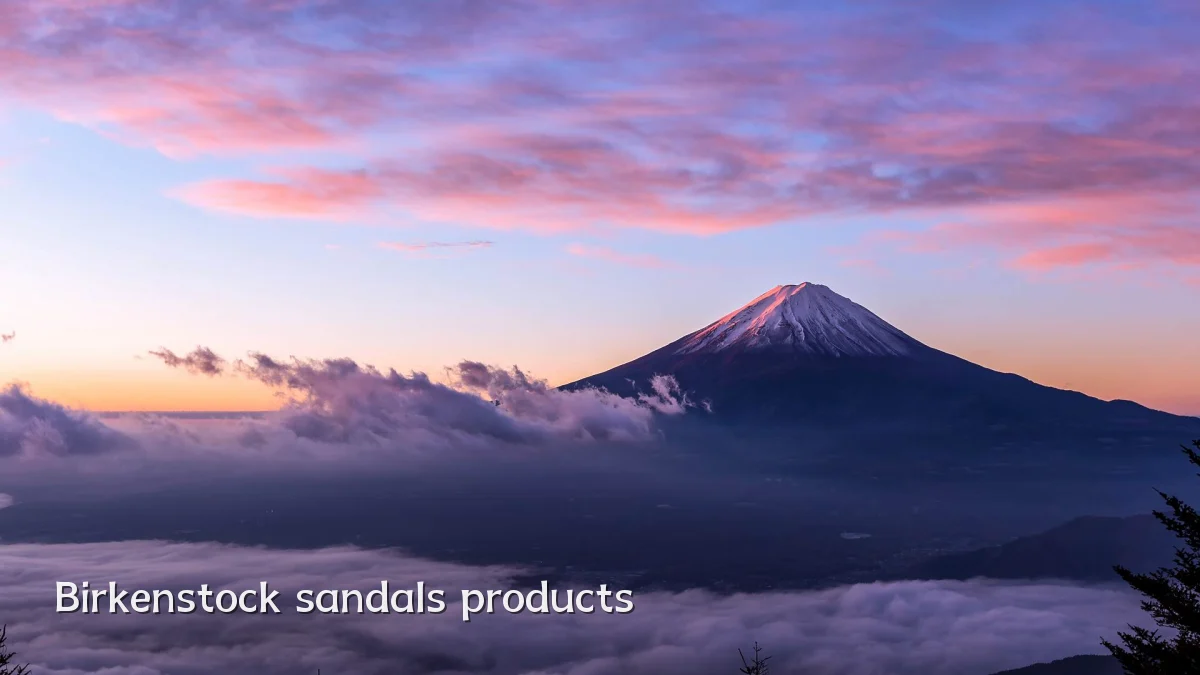 Birkenstock sandals products