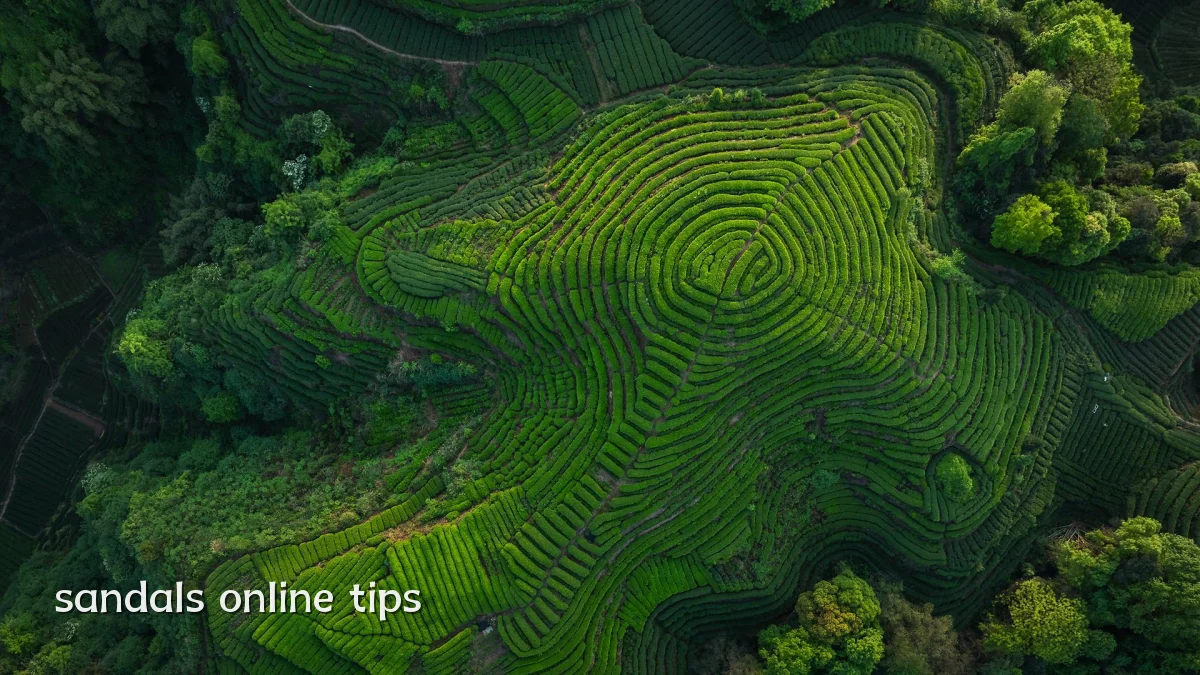 sandals online tips