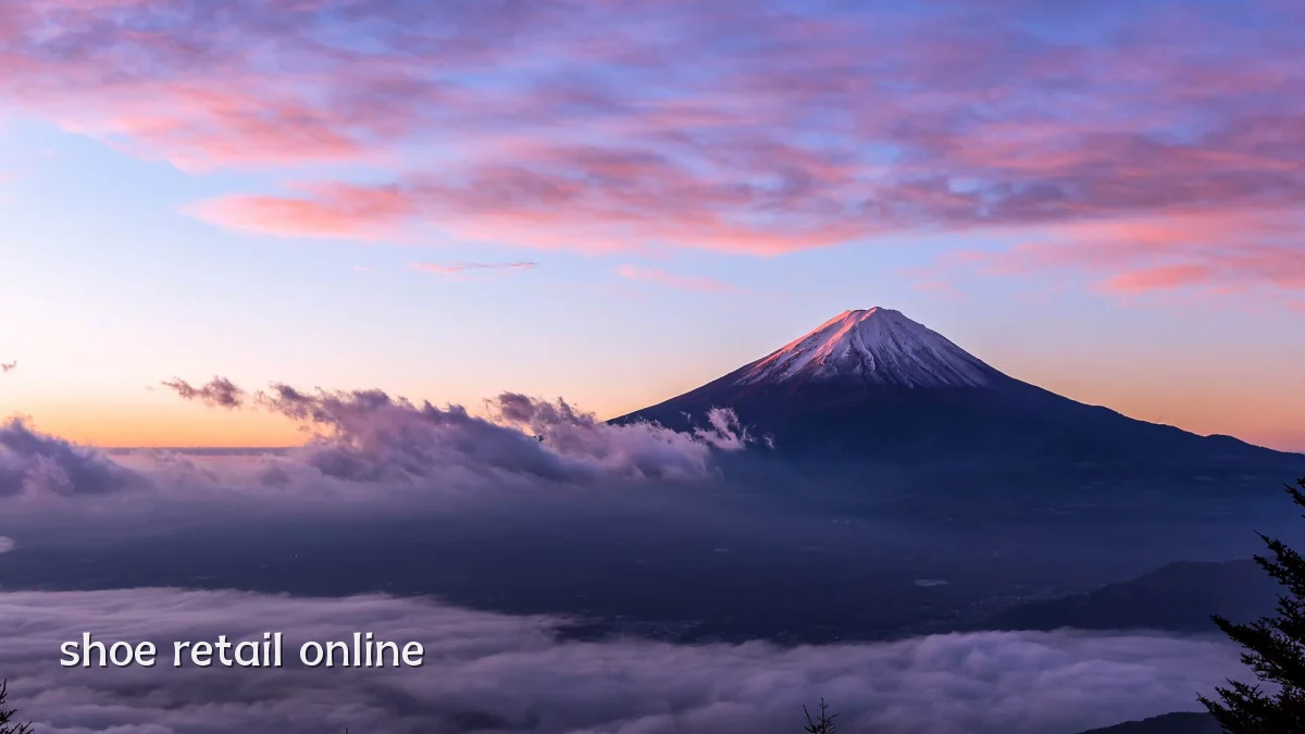 shoe retail online
