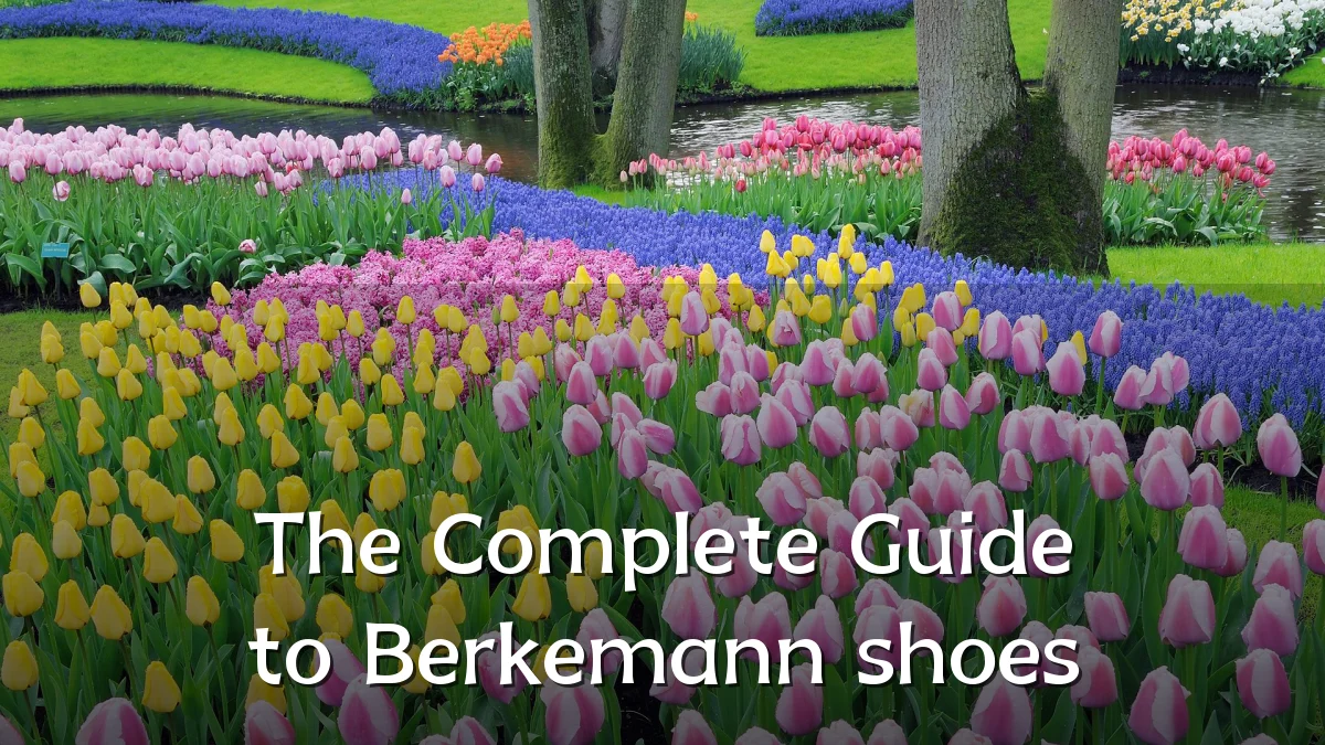 The Complete Guide to Berkemann shoes