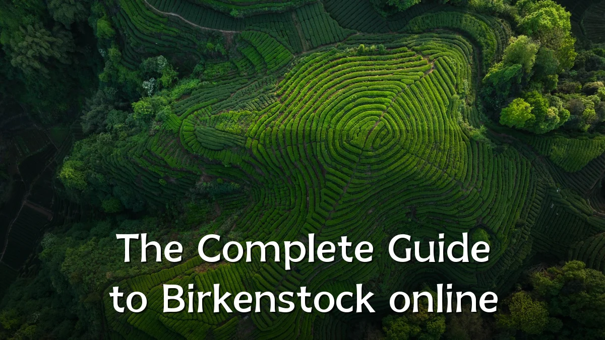 The Complete Guide to Birkenstock online