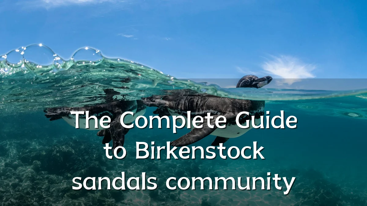 The Complete Guide to Birkenstock sandals community