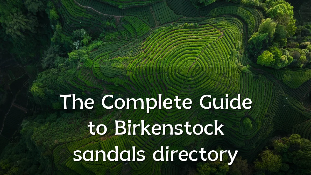 The Complete Guide to Birkenstock sandals directory