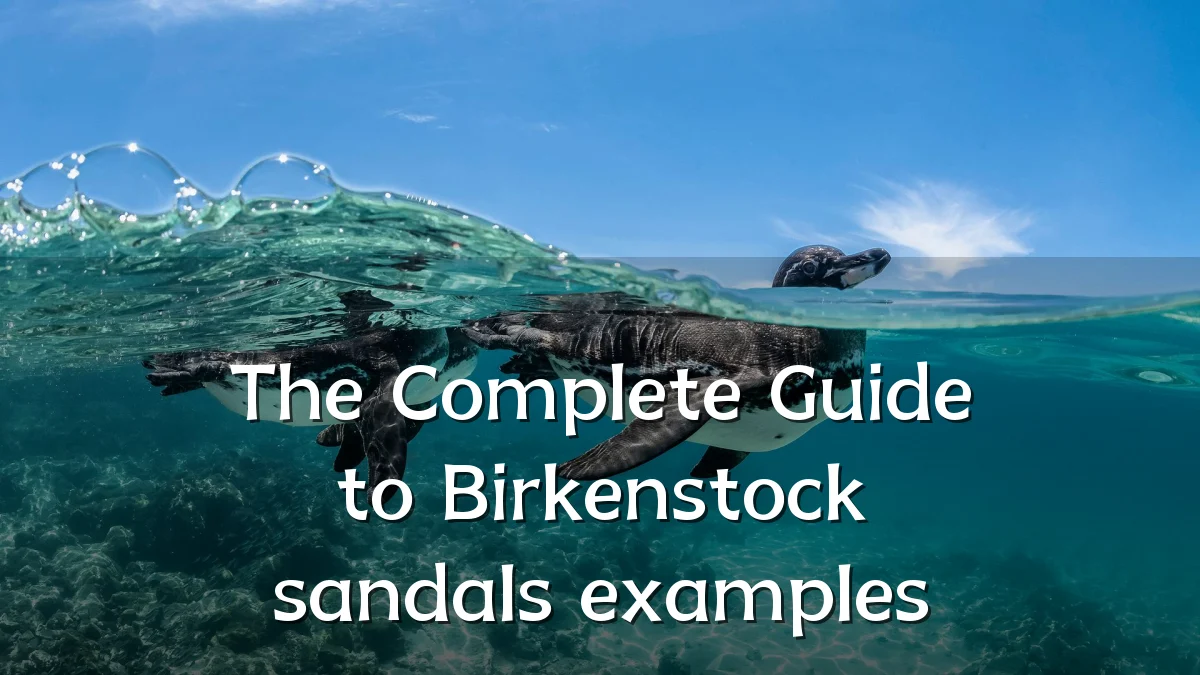 The Complete Guide to Birkenstock sandals examples