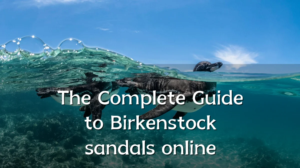 The Complete Guide to Birkenstock sandals online