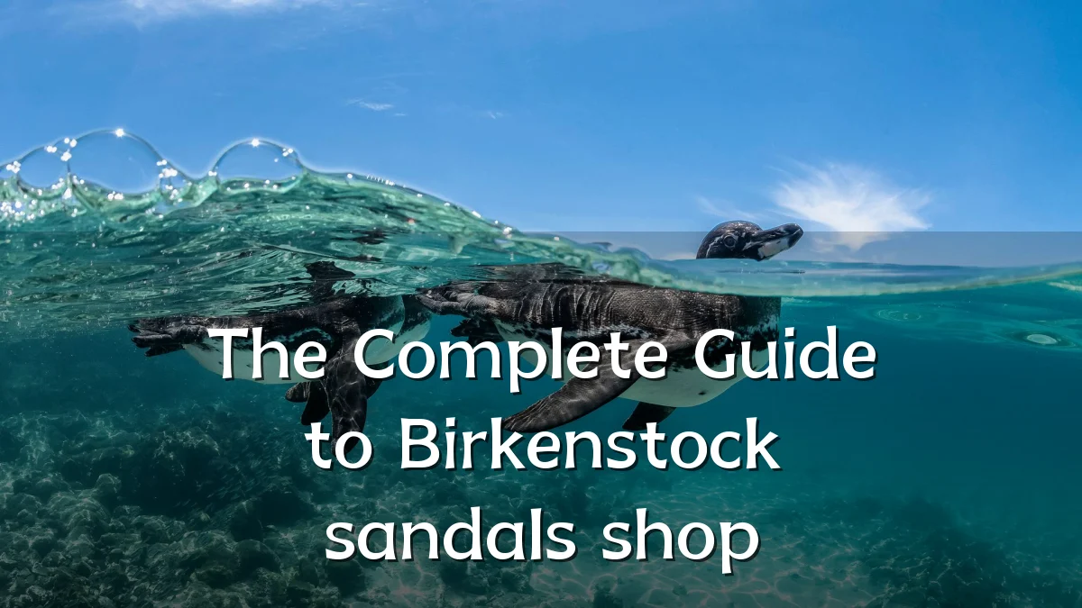 The Complete Guide to Birkenstock sandals shop