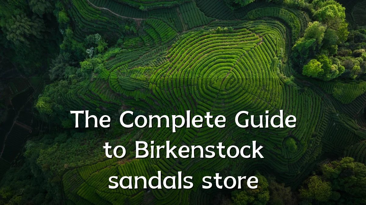 The Complete Guide to Birkenstock sandals store