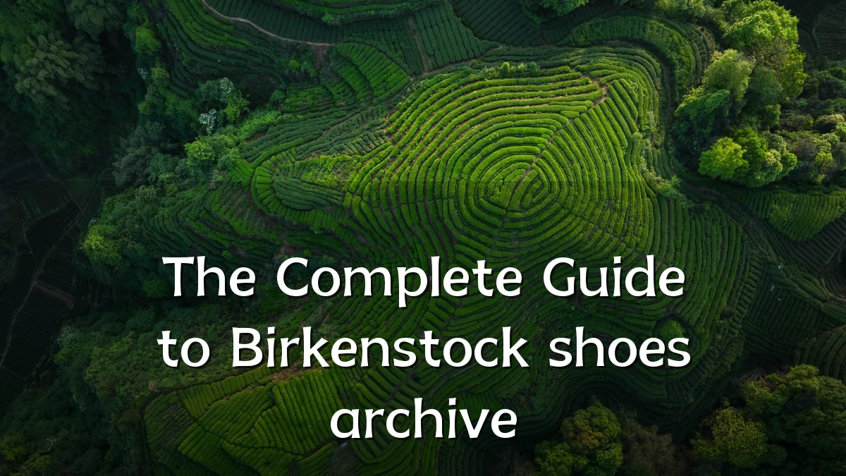 The Complete Guide to Birkenstock shoes archive