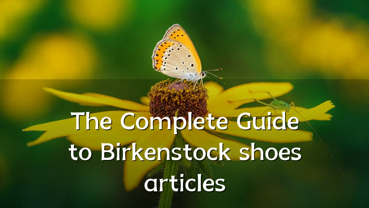 The Complete Guide to Birkenstock shoes articles