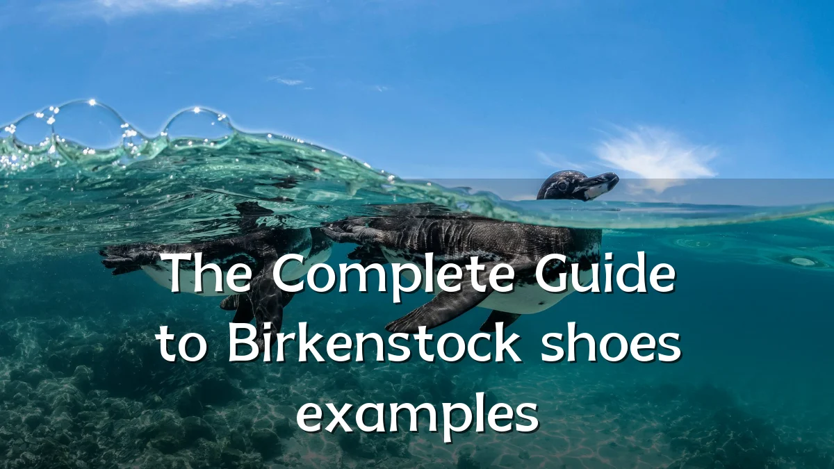 The Complete Guide to Birkenstock shoes examples