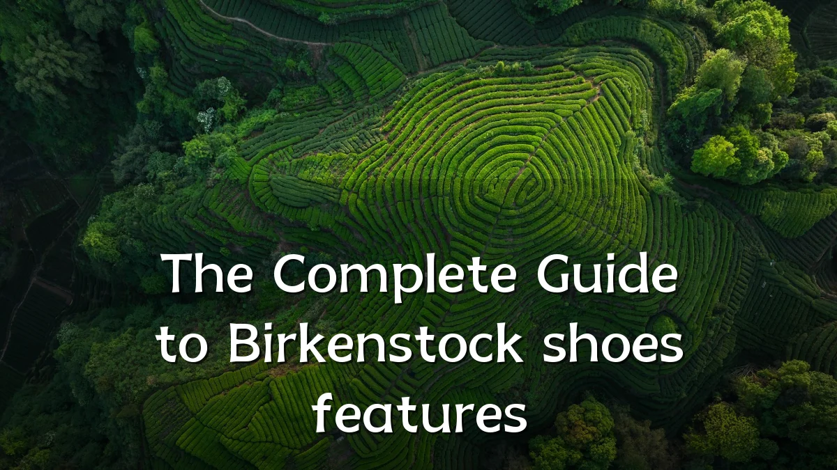 The Complete Guide to Birkenstock shoes features