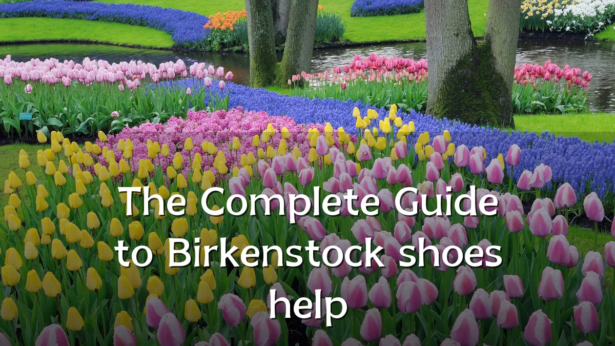 The Complete Guide to Birkenstock shoes help
