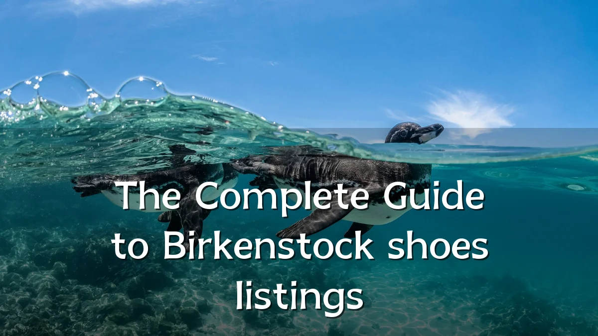The Complete Guide to Birkenstock shoes listings