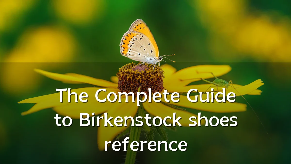 The Complete Guide to Birkenstock shoes reference