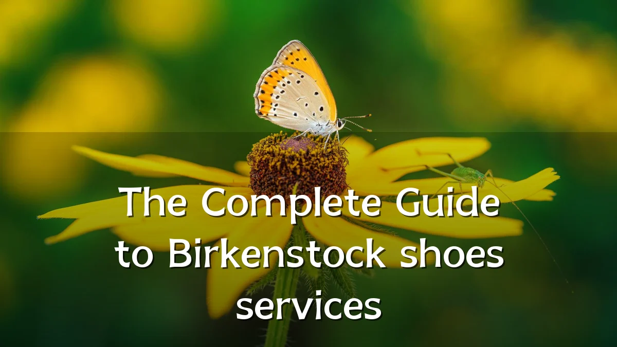 The Complete Guide to Birkenstock shoes services