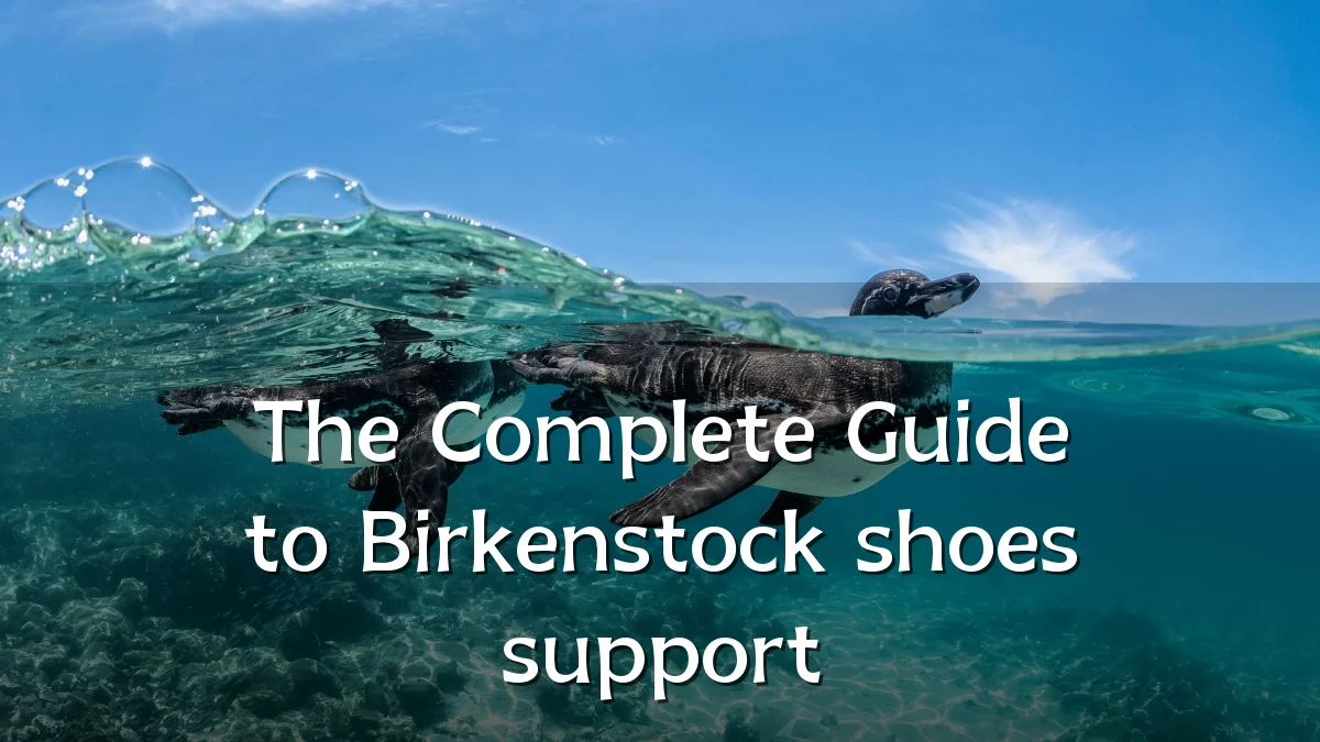 The Complete Guide to Birkenstock shoes support