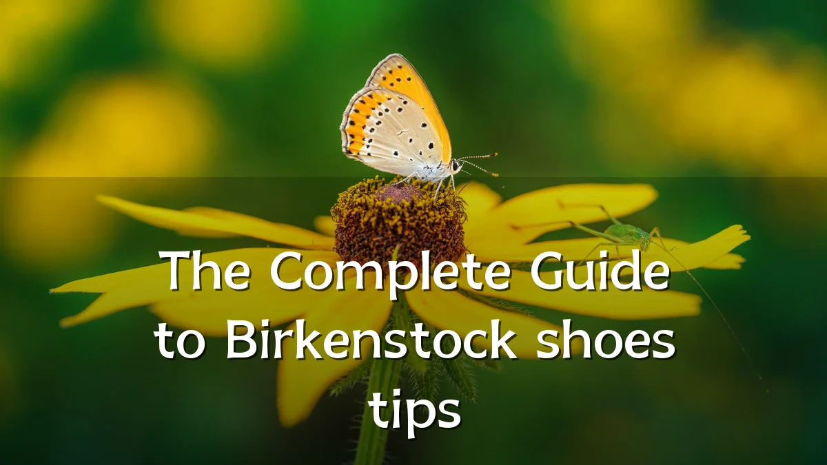 The Complete Guide to Birkenstock shoes tips