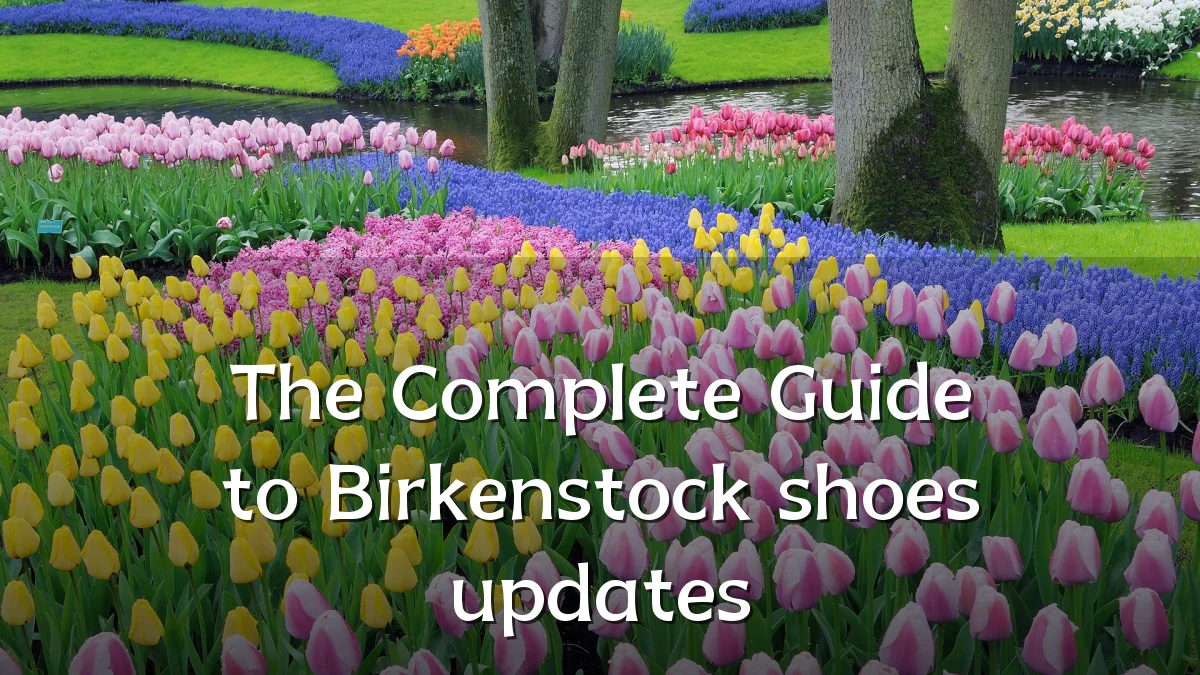 The Complete Guide to Birkenstock shoes updates
