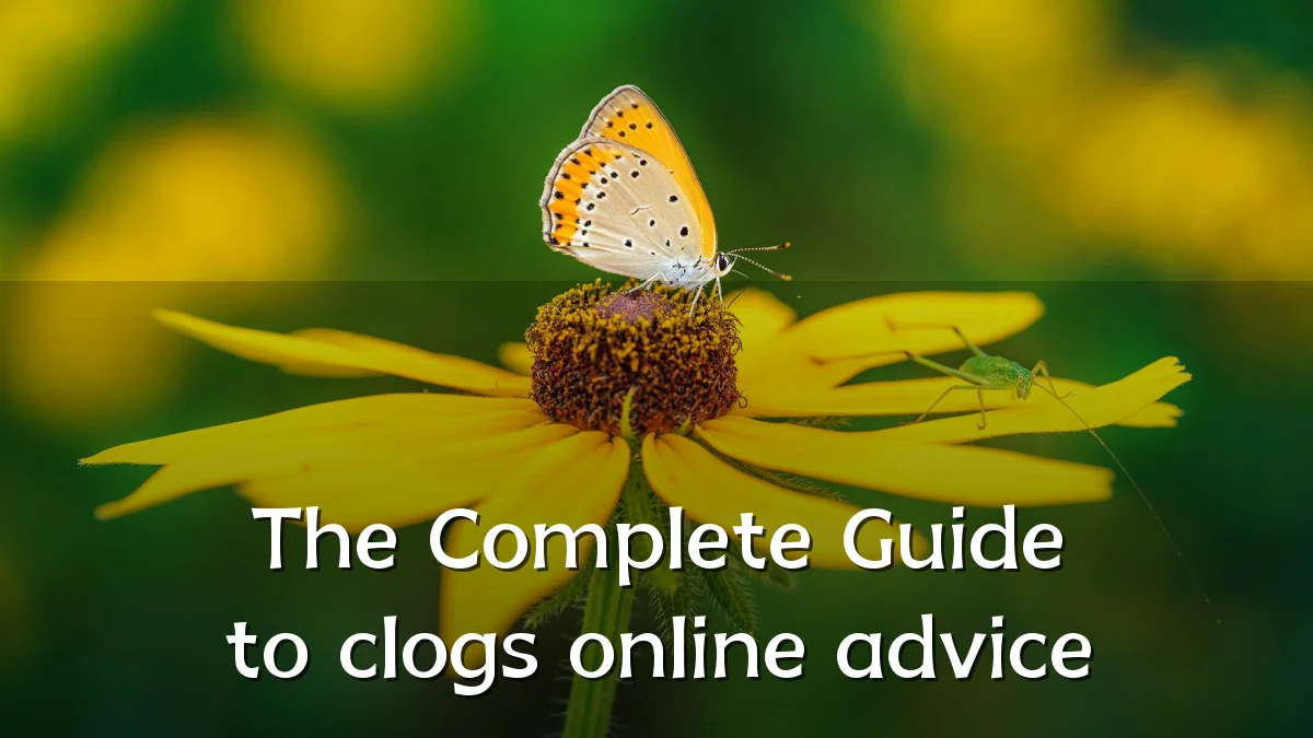 The Complete Guide to clogs online advice