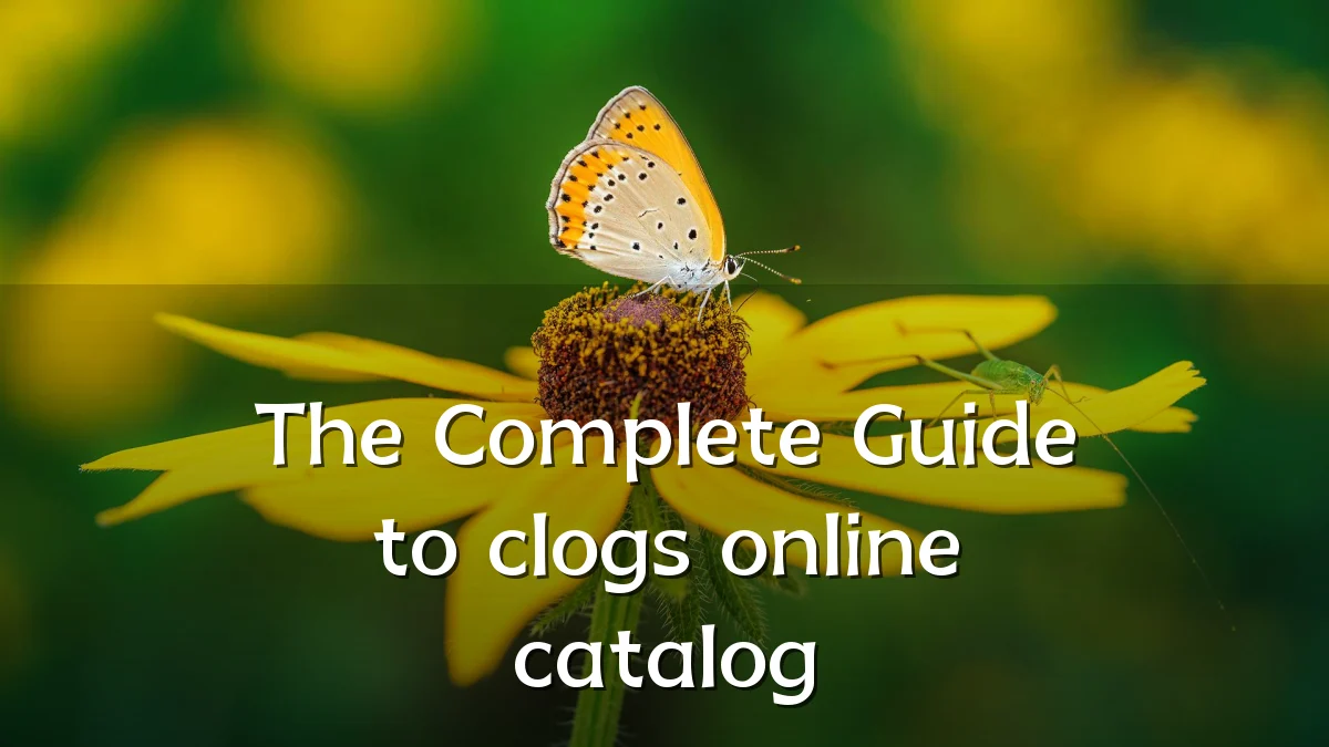 The Complete Guide to clogs online catalog