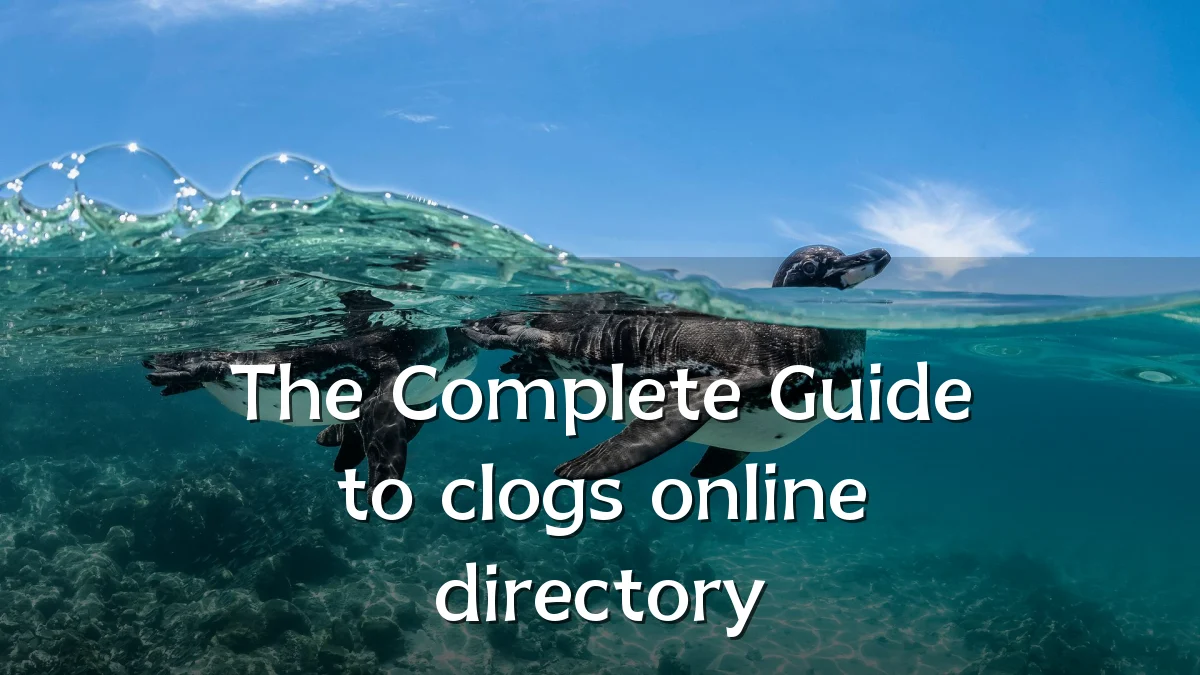 The Complete Guide to clogs online directory