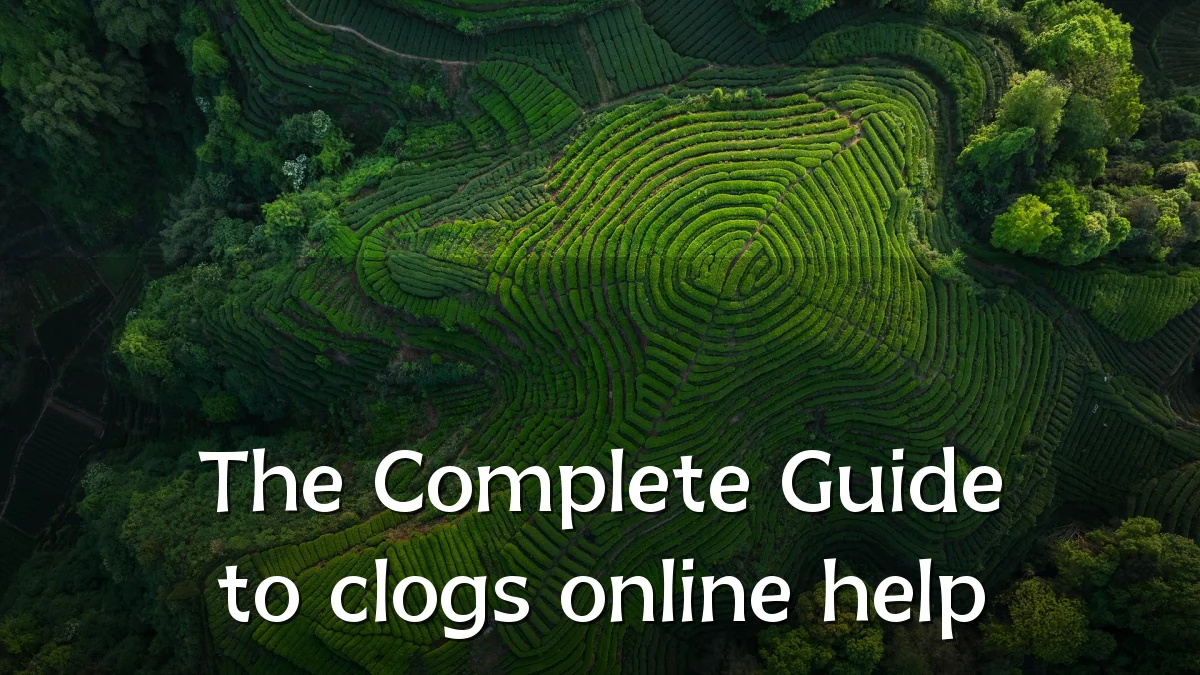 The Complete Guide to clogs online help