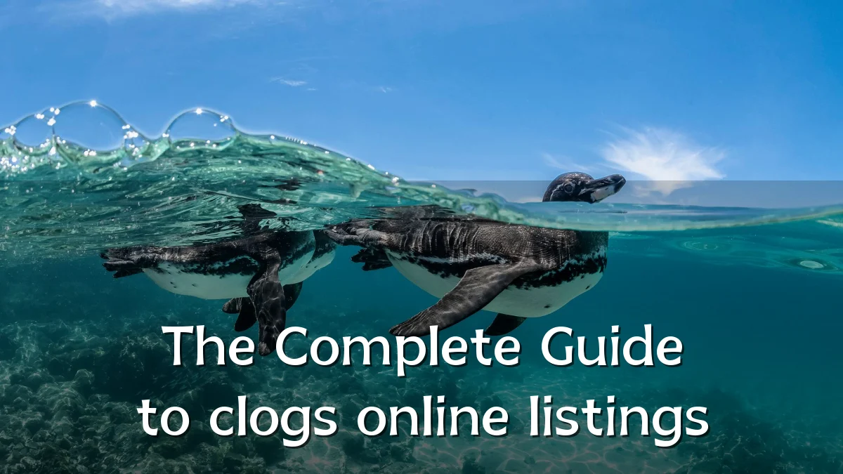 The Complete Guide to clogs online listings