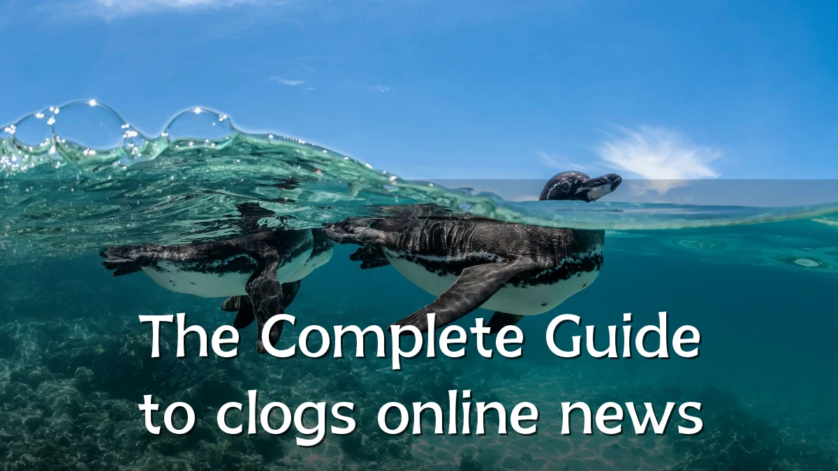 The Complete Guide to clogs online news