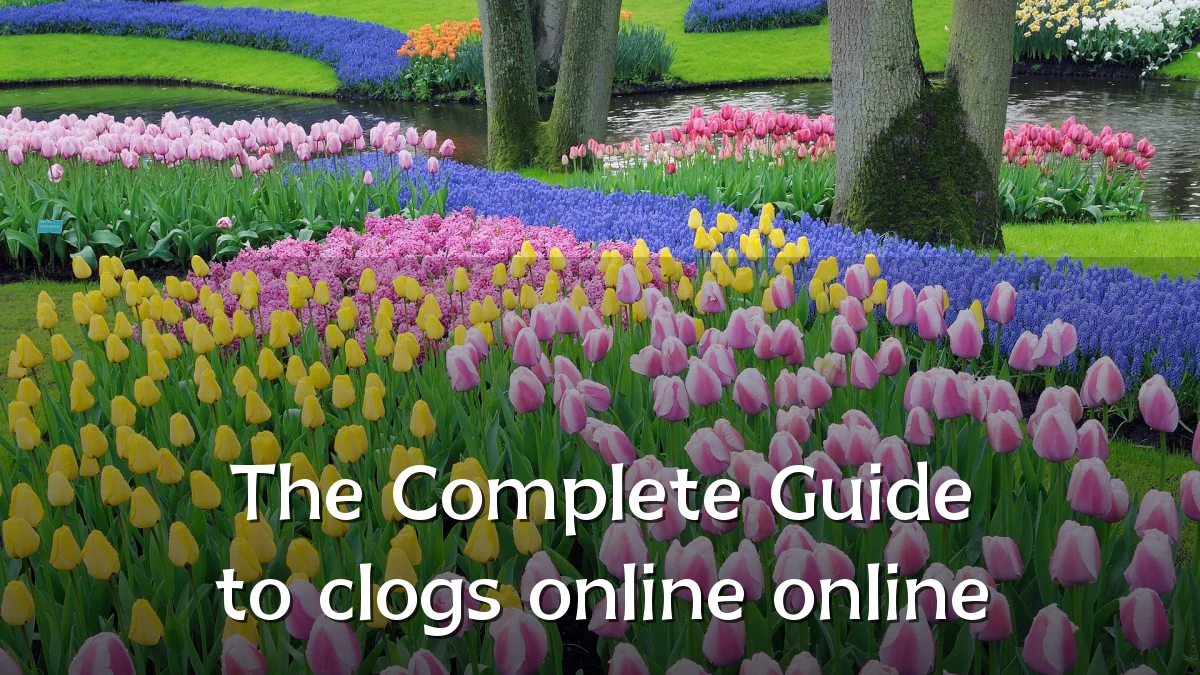 The Complete Guide to clogs online online