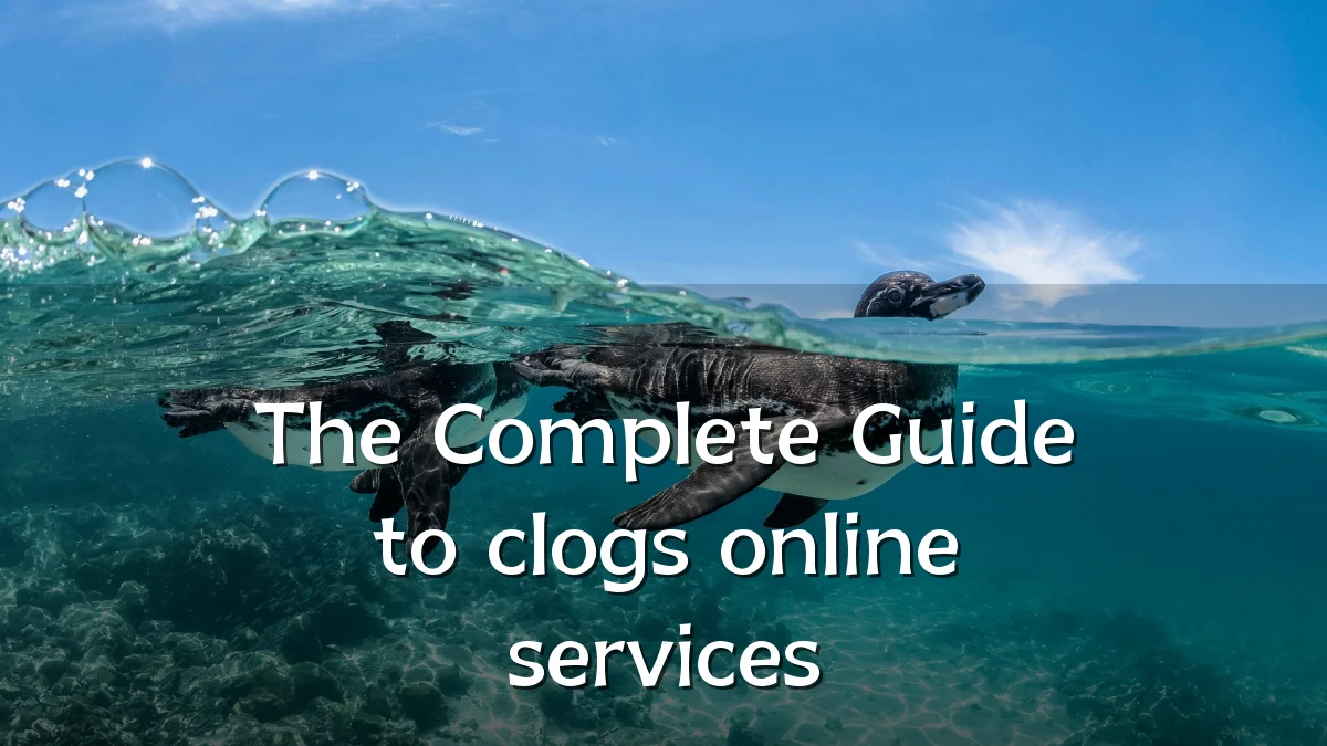 The Complete Guide to clogs online services