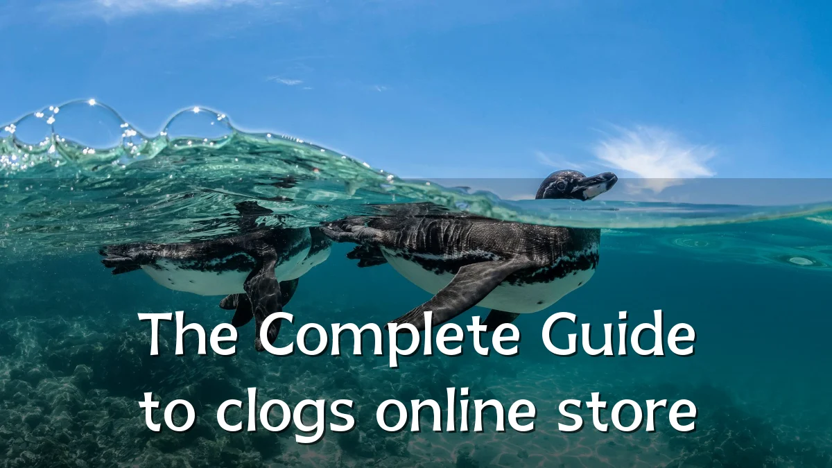 The Complete Guide to clogs online store