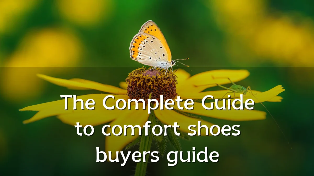 The Complete Guide to comfort shoes buyers guide