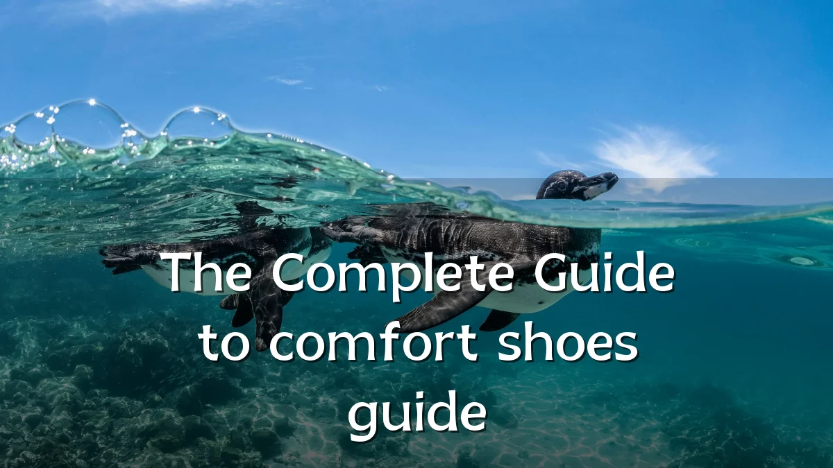 The Complete Guide to comfort shoes guide