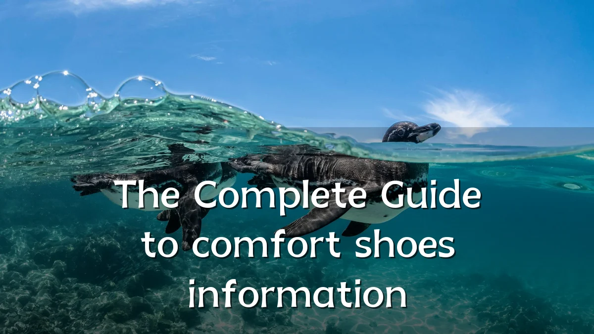The Complete Guide to comfort shoes information