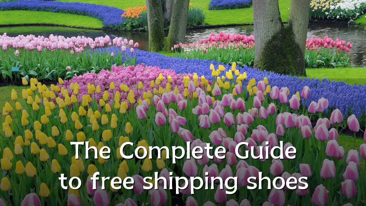 The Complete Guide to free shipping shoes