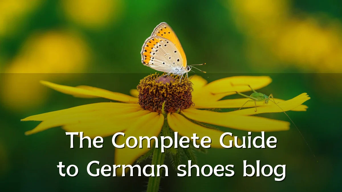 The Complete Guide to German shoes blog
