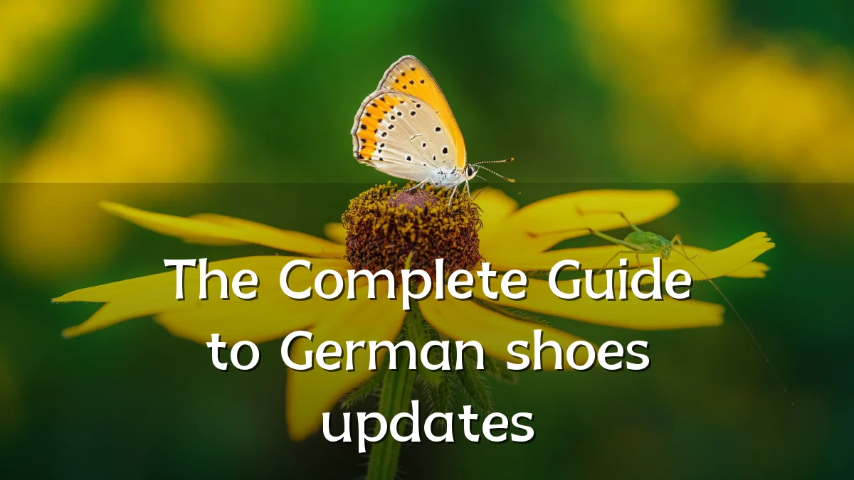 The Complete Guide to German shoes updates