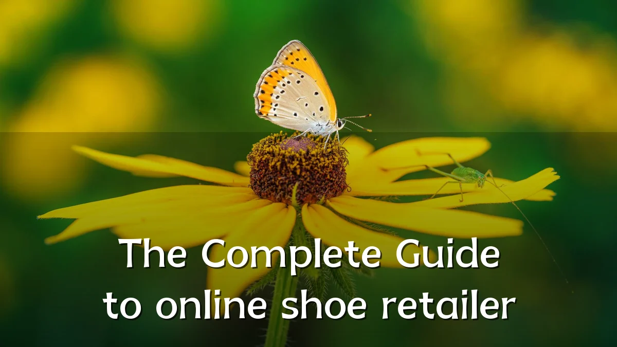 The Complete Guide to online shoe retailer