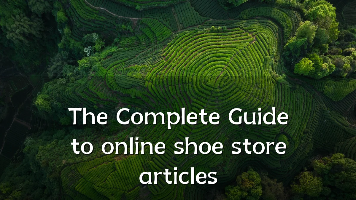 The Complete Guide to online shoe store articles
