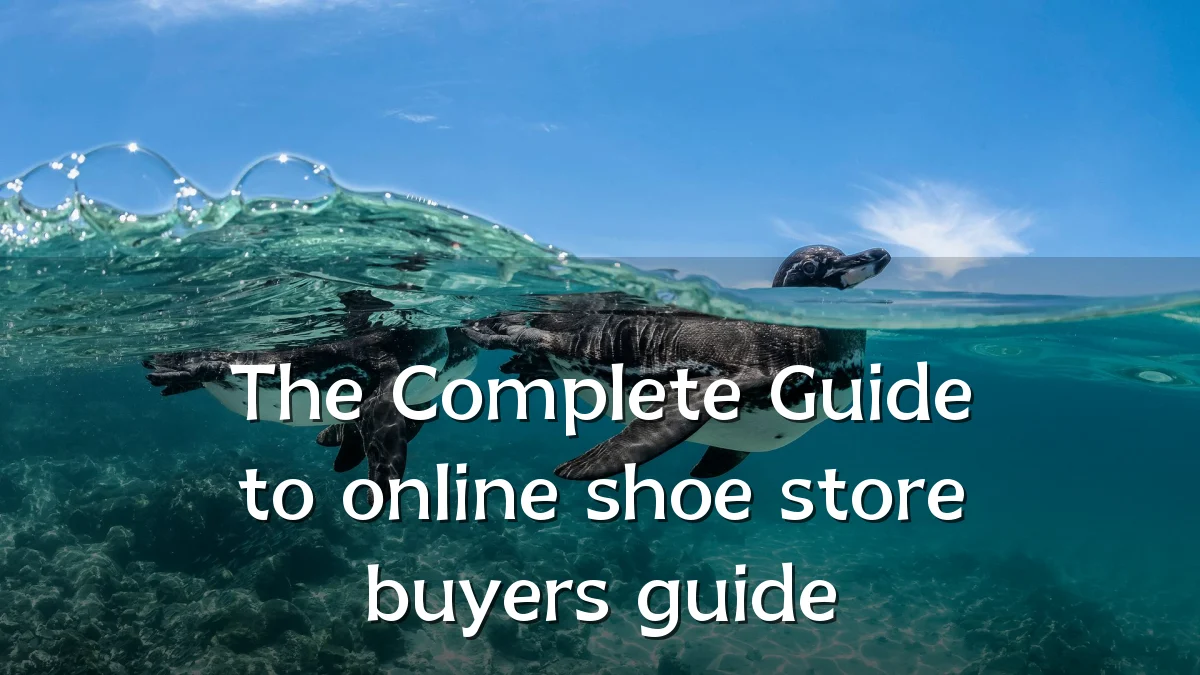 The Complete Guide to online shoe store buyers guide