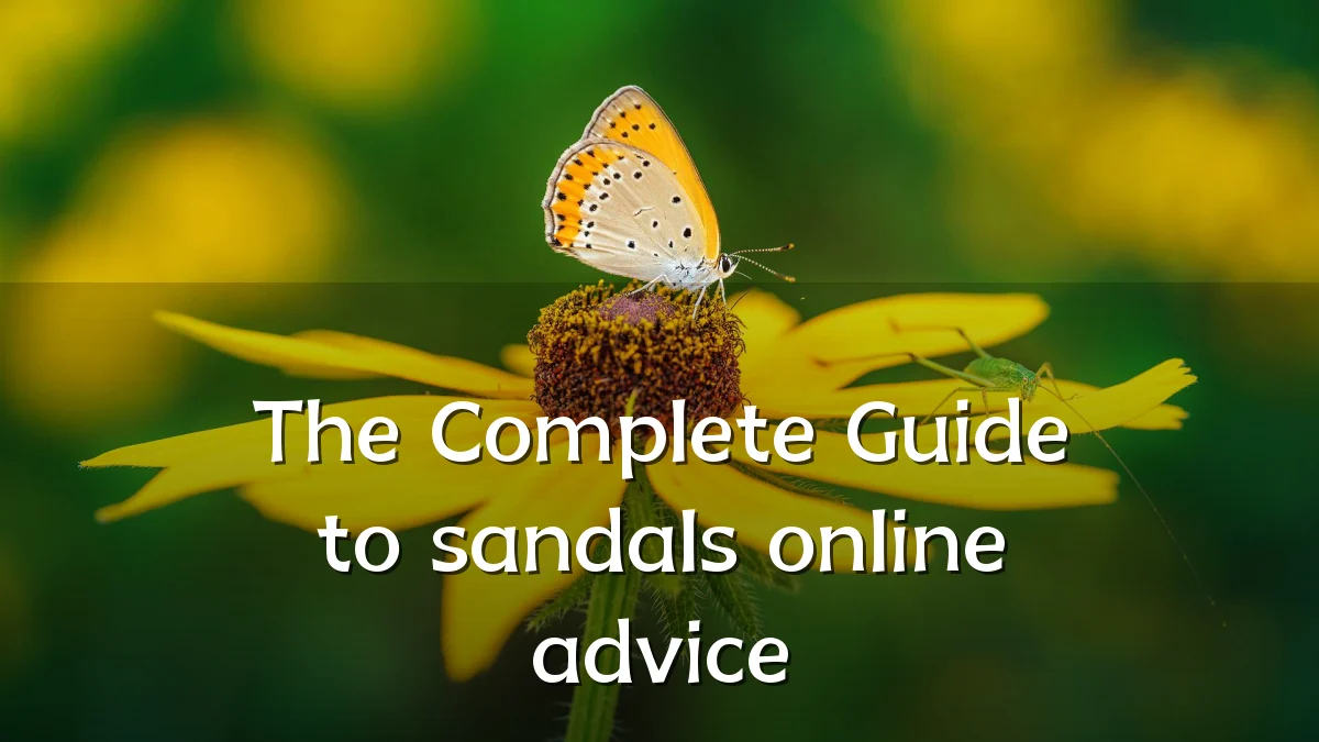 The Complete Guide to sandals online advice