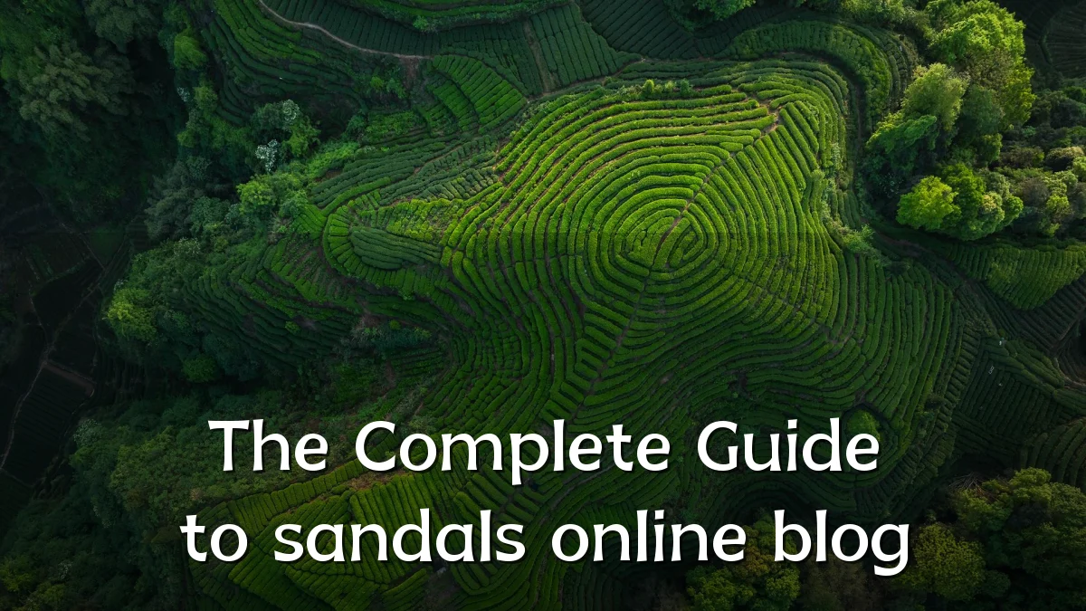 The Complete Guide to sandals online blog
