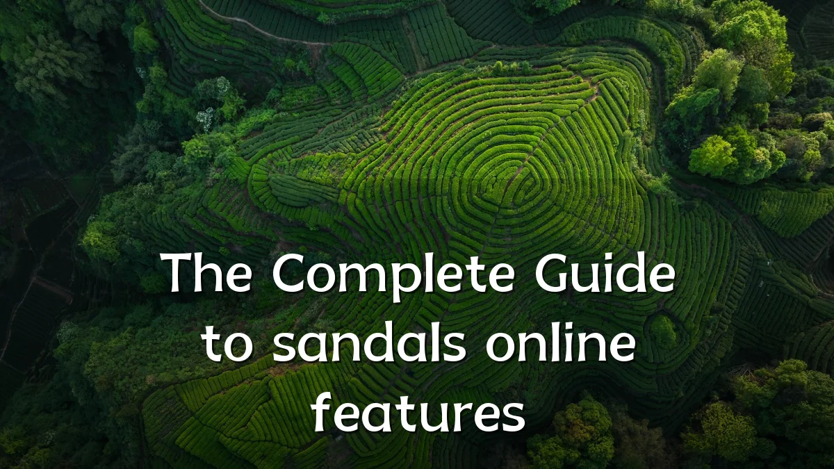 The Complete Guide to sandals online features