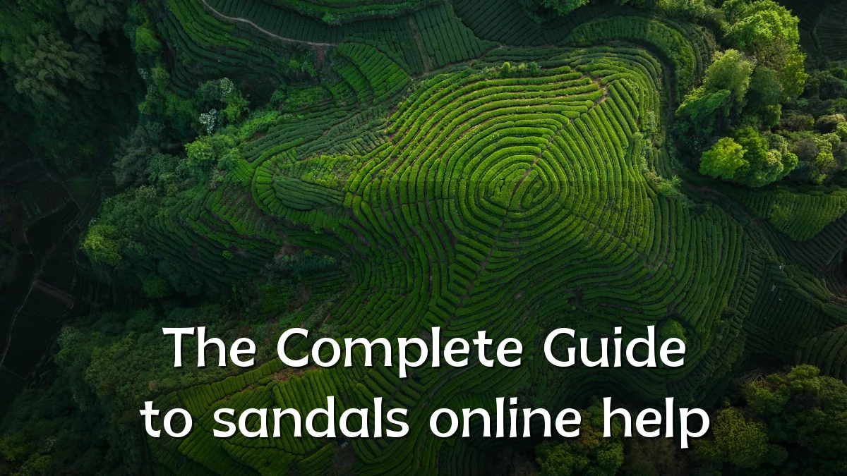 The Complete Guide to sandals online help