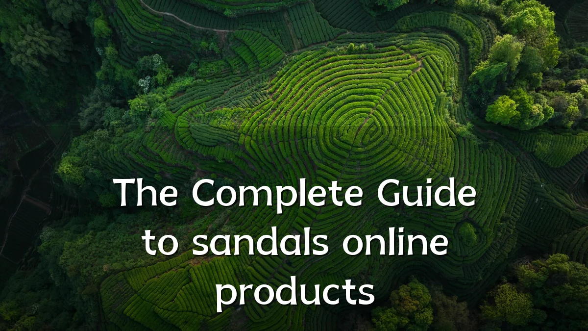 The Complete Guide to sandals online products