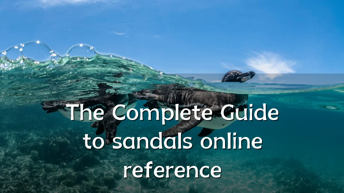 The Complete Guide to sandals online reference