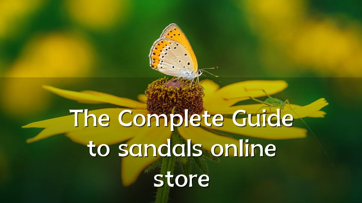 The Complete Guide to sandals online store