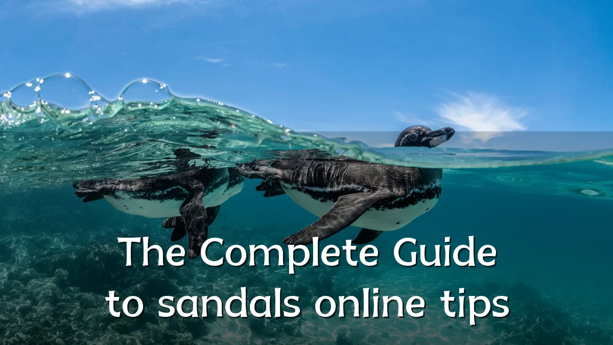 The Complete Guide to sandals online tips