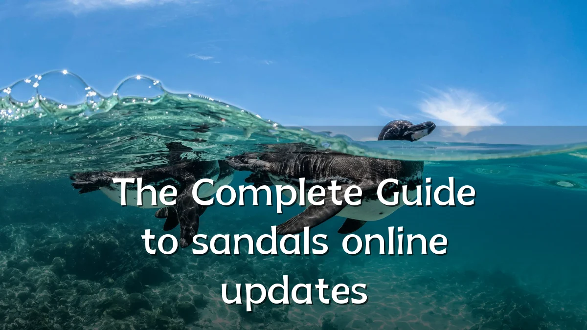 The Complete Guide to sandals online updates
